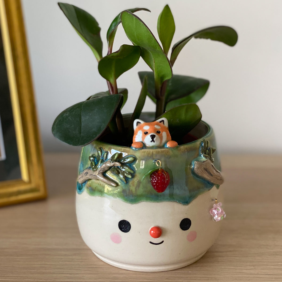 Panda roux - pot