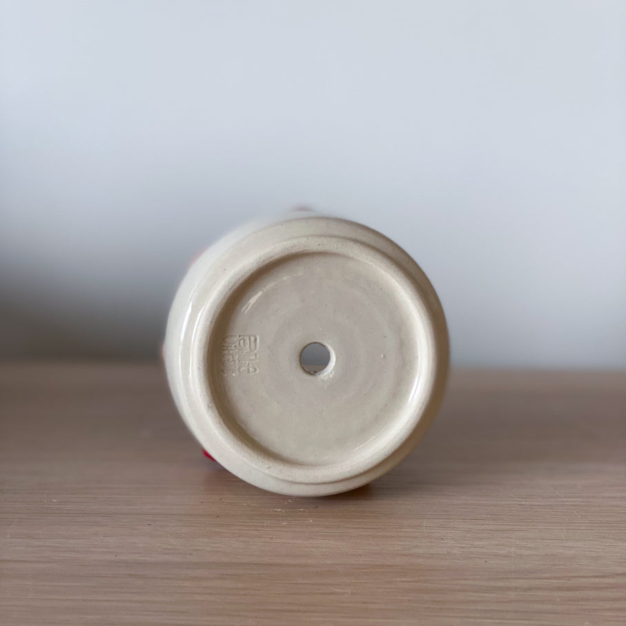 Framboises - Petit pot de fleur