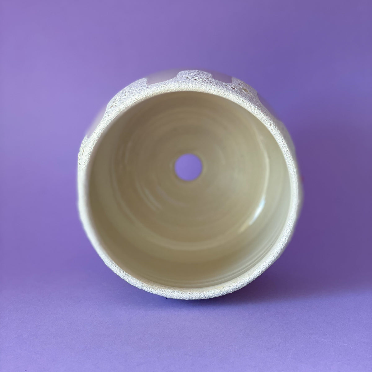 Pierre Volcanique - pot de fleur