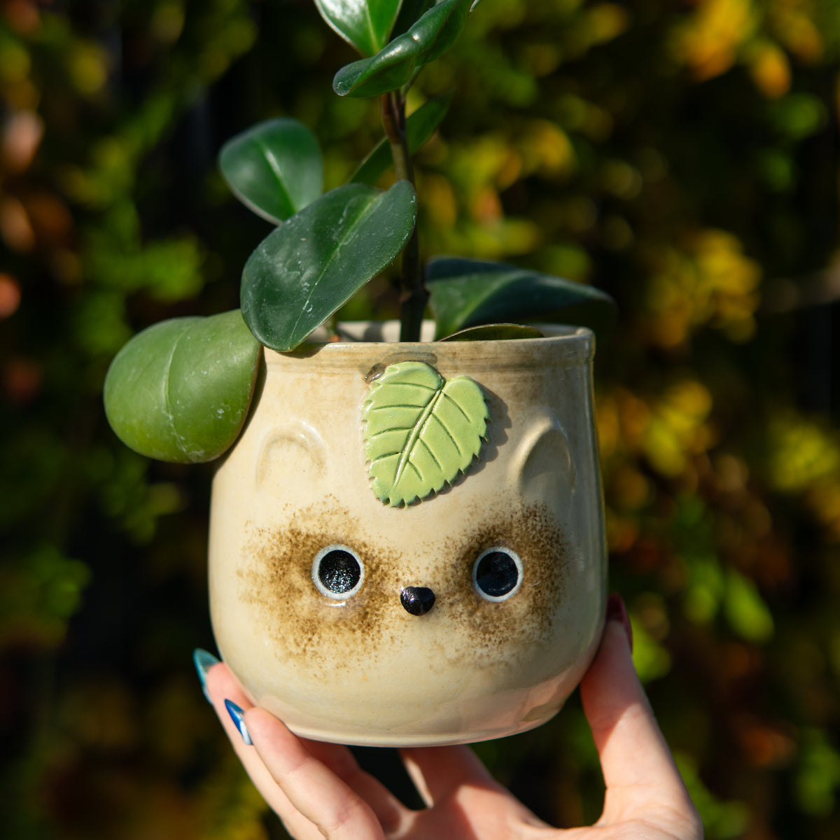 Tanuki - Pot de fleur drainé