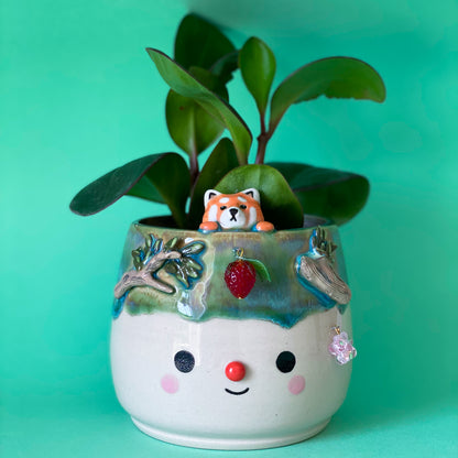 Panda roux - pot