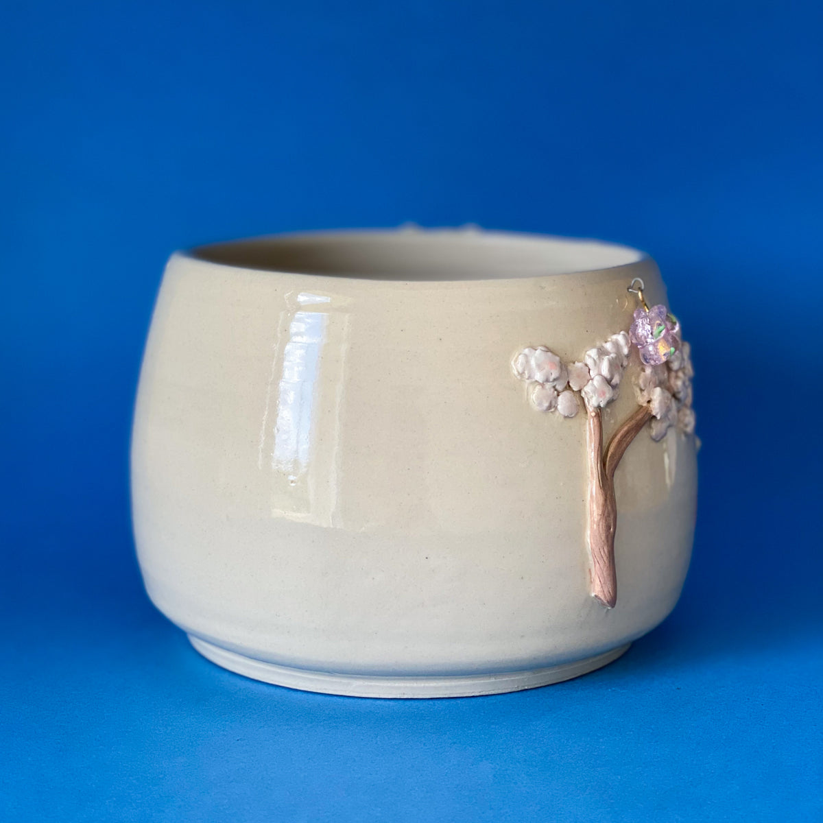 Cerisier timide - pot