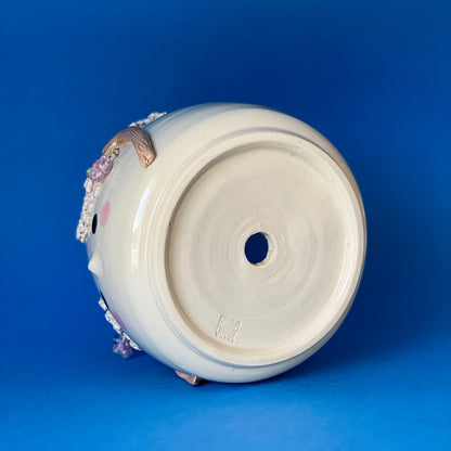 Cerisier timide - pot
