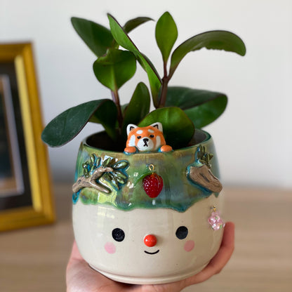 Panda roux - pot