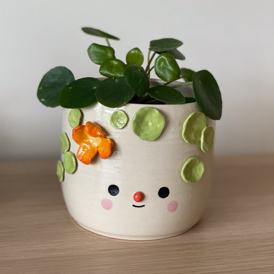 Capucine - pot de fleur