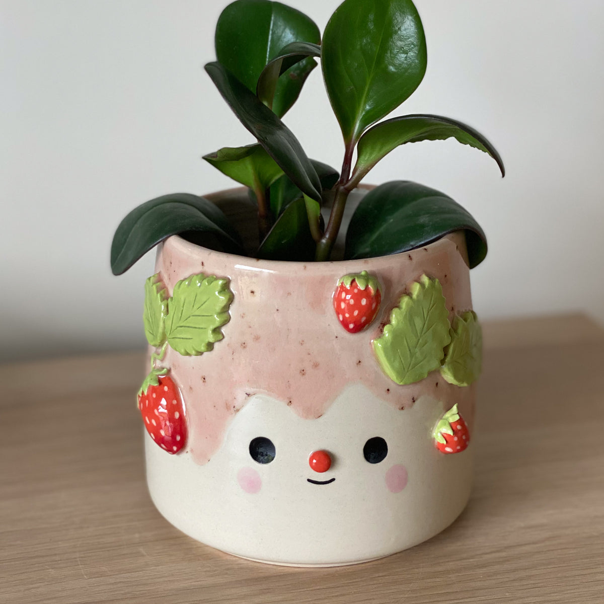 Fraises - Pot de fleur
