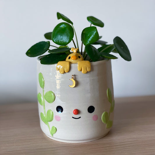 Canari suspendu - Pot de fleur