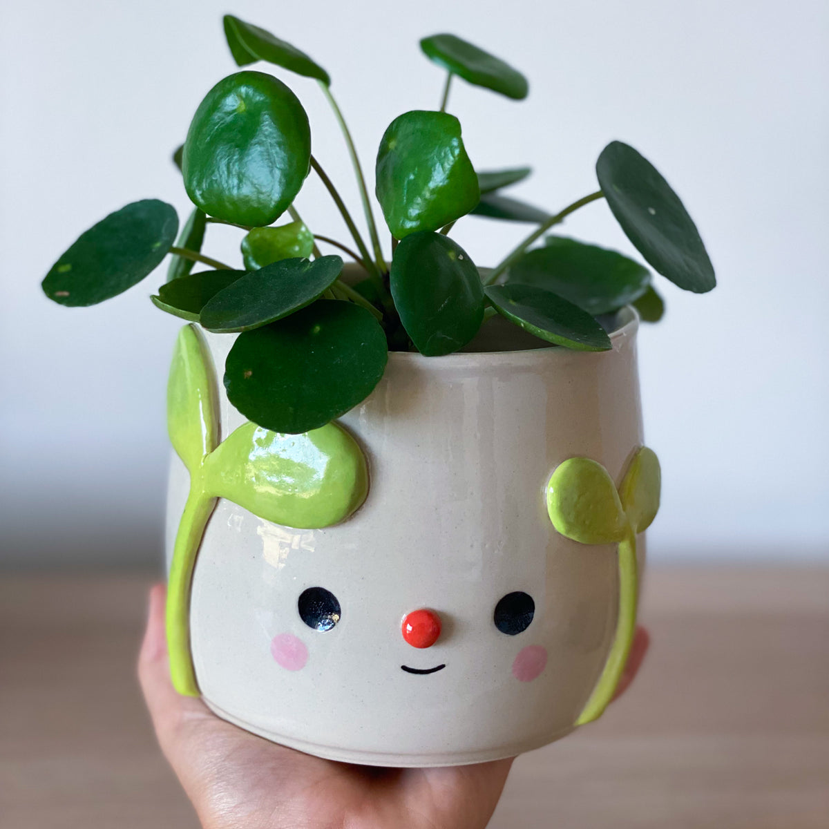 Grandes Pousses - pot de fleur