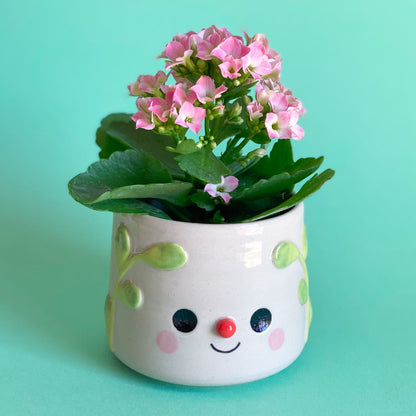 Feuillages - Petit pot de fleur