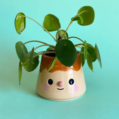 Pudding - mini Pot de fleur