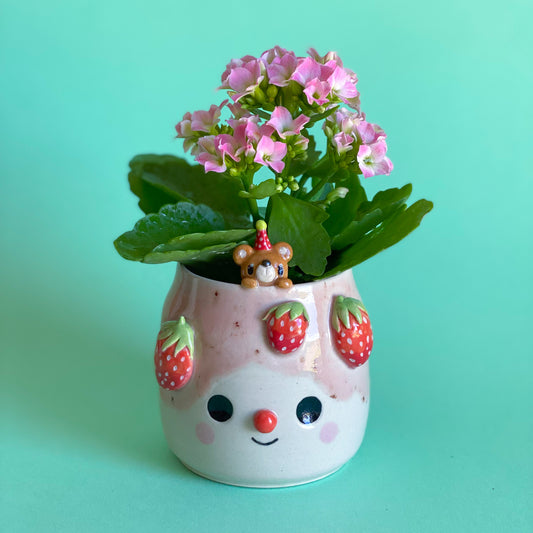 Stawbearry - mini pot de fleur
