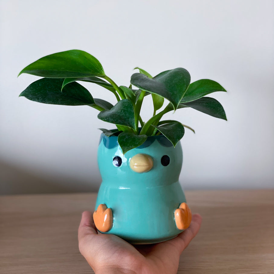 Kappa - Petit pot de fleur