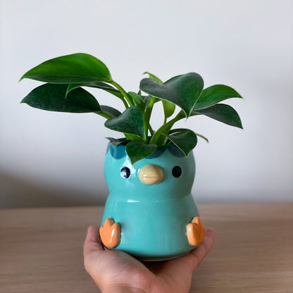 Kappa - Petit pot de fleur