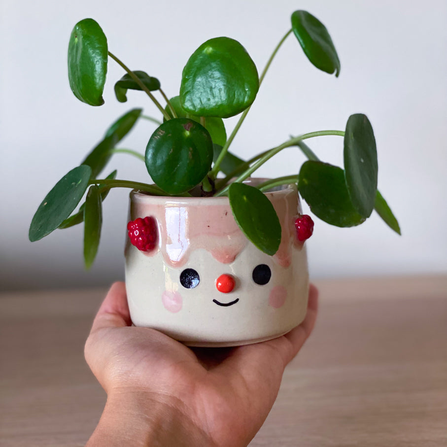 Framboises - Petit pot de fleur