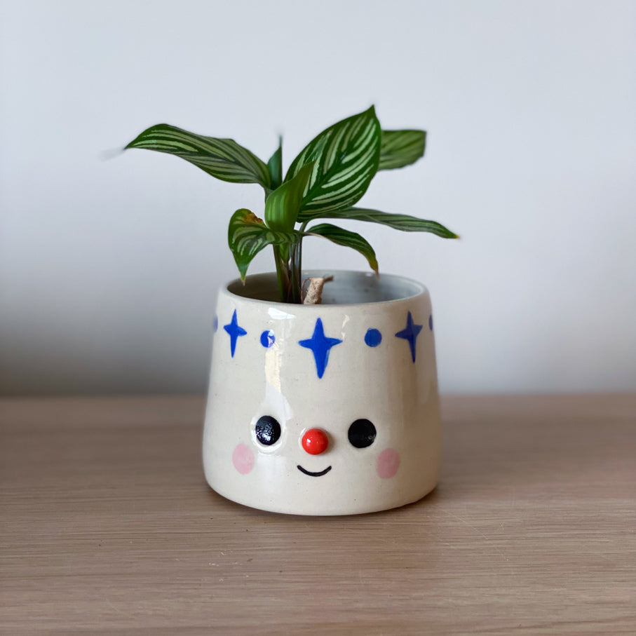 Nuit des étoiles - Mini pot de fleur