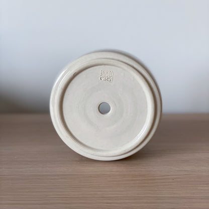 Rainbow - Pot de fleur