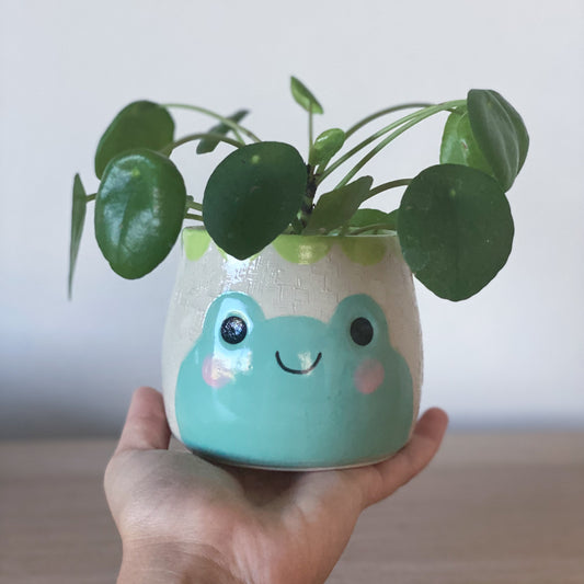 Portrait de la Grenouille -  Petit pot de fleur