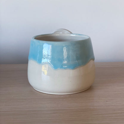 Passerelle colorée - Petit pot de fleur