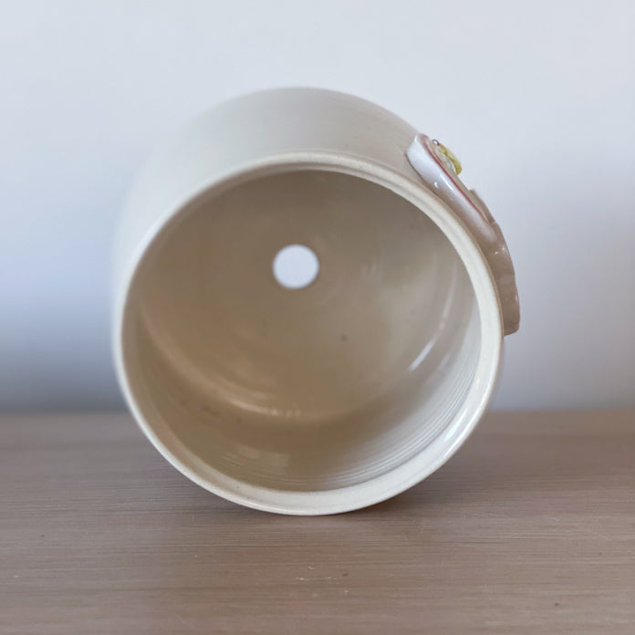 Arc-en-ciel constellé - Pot de fleur