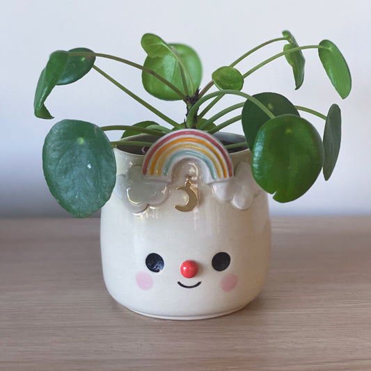 Arc en ciel lunaire - Petit pot de fleur