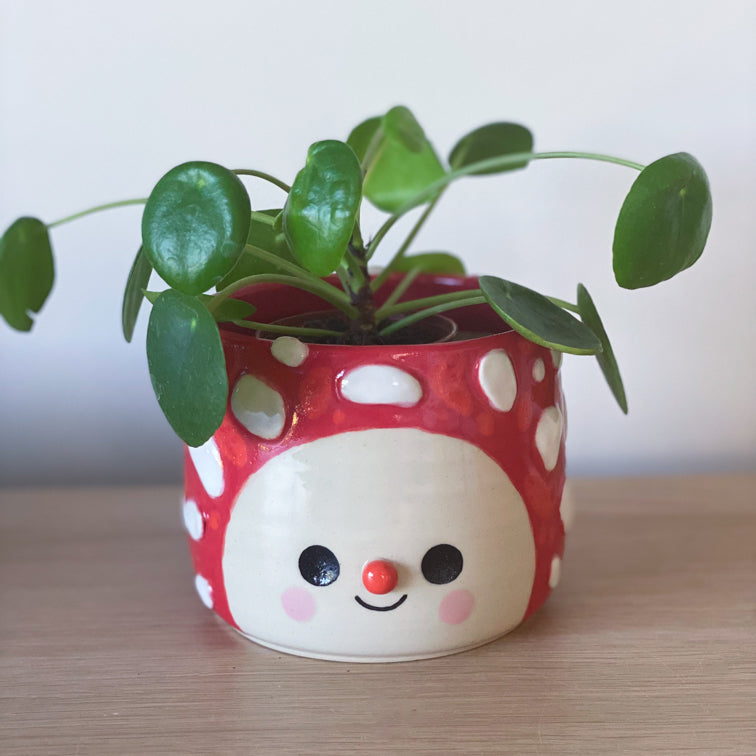Amanite Intégrale -  Pot de fleur