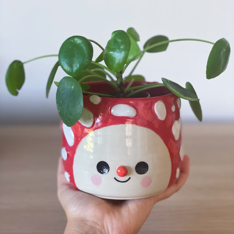 Amanite Intégrale -  Pot de fleur