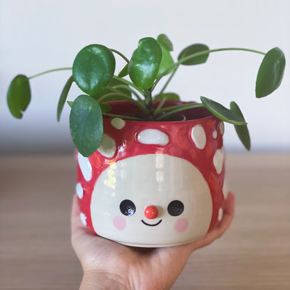 Amanite Intégrale -  Pot de fleur