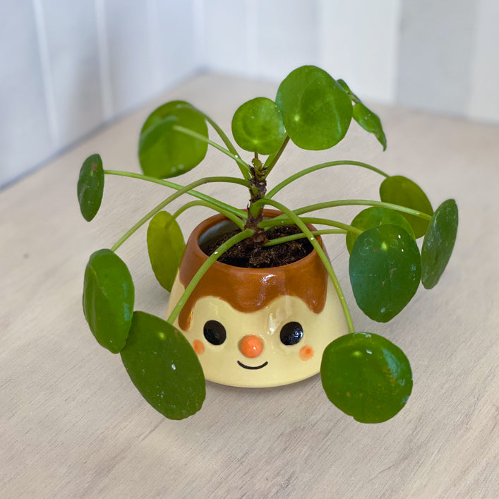 Pudding 03 - mini Pot de fleur - DÉFAUTS