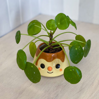 Pudding 03 - mini Pot de fleur - DÉFAUTS