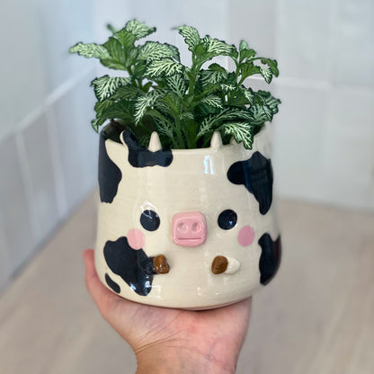 Vache - Pot de fleur