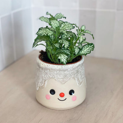 Pierre Volcanique 05 - pot de fleur