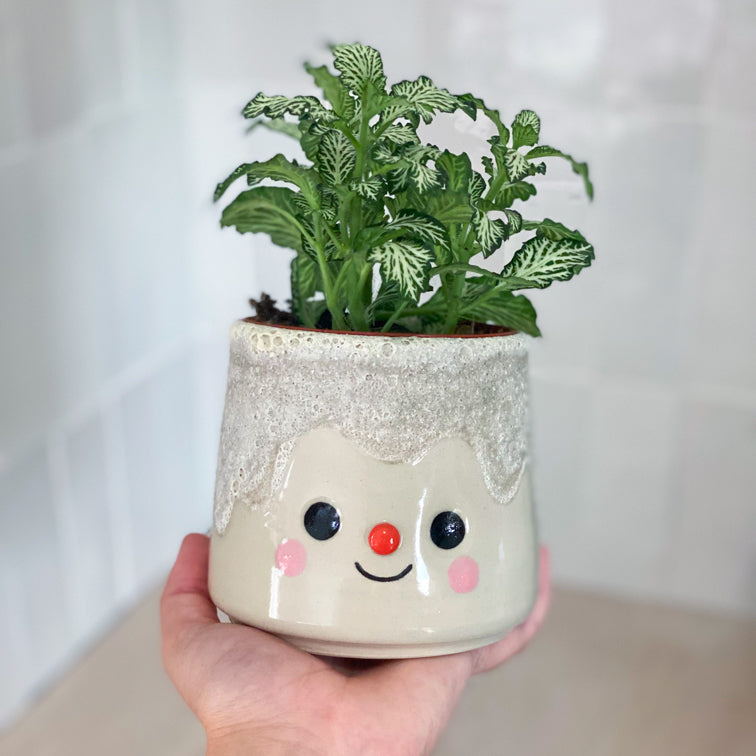 Pierre Volcanique 05 - pot de fleur