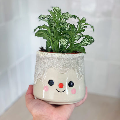 Pierre Volcanique 05 - pot de fleur