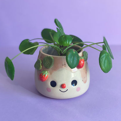 Fraises 05 - Pot de fleur