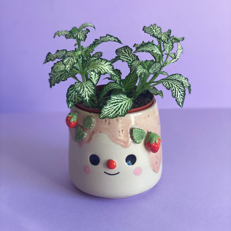 Fraises 04 - Pot de fleur