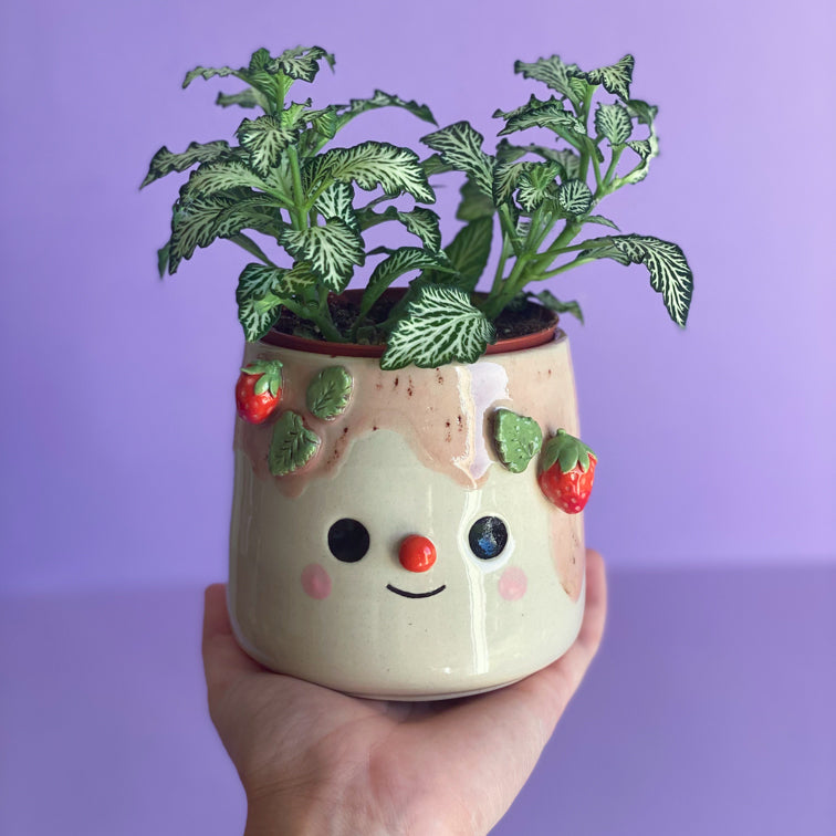 Fraises 04 - Pot de fleur