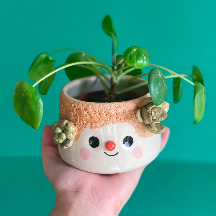 Succulente & coulure terre -  Pot de fleur - Défaut