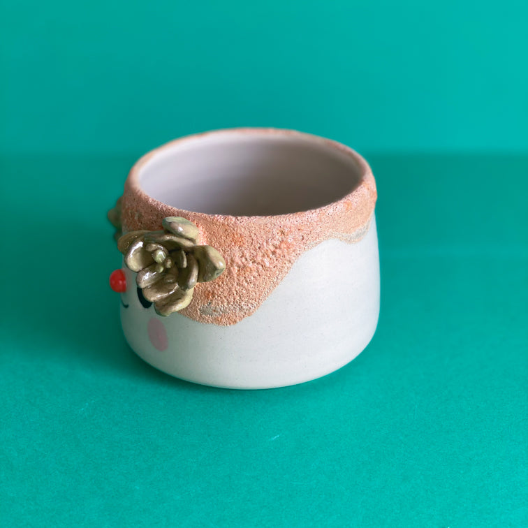 Succulente & coulure terre -  Pot de fleur - Défaut