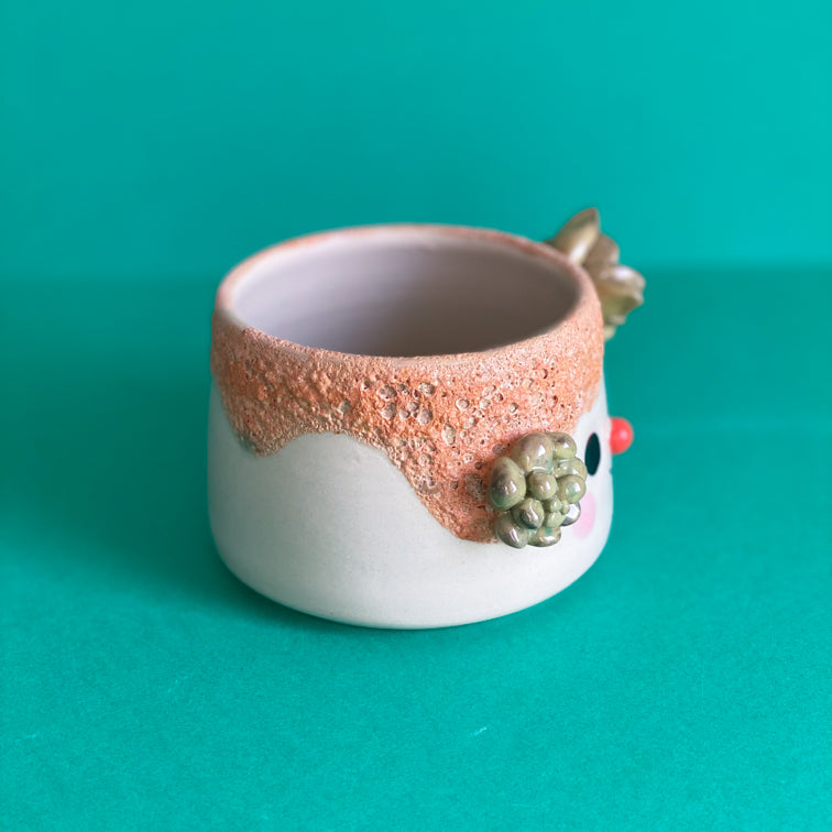 Succulente & coulure terre -  Pot de fleur - Défaut