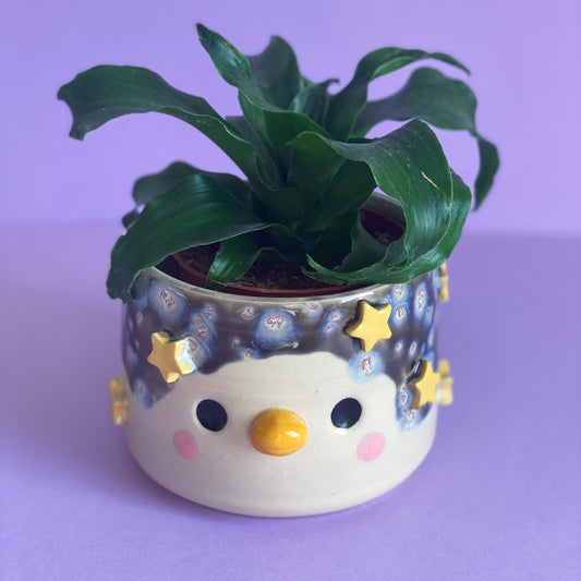 Canard galaxie - Grand Pot de fleur
