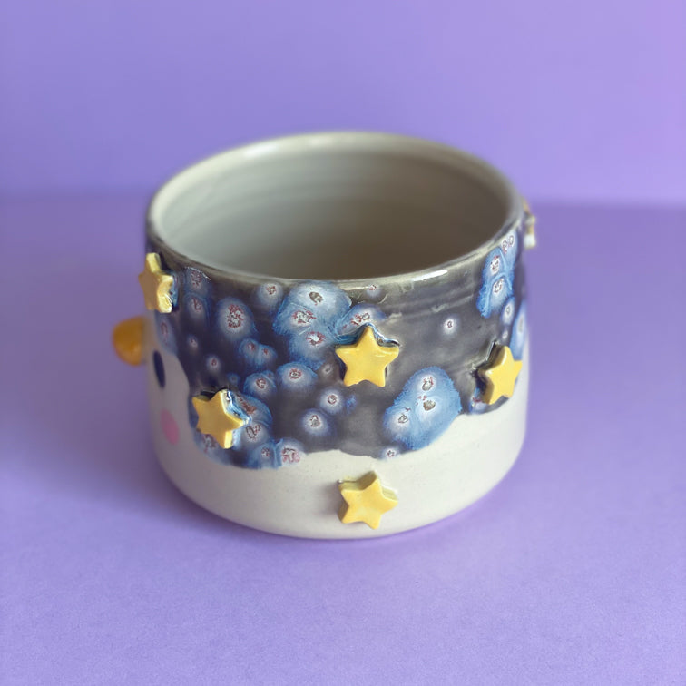 Canard galaxie - Grand Pot de fleur