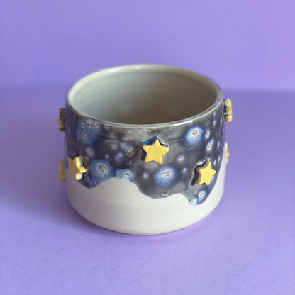 Canard galaxie - Grand Pot de fleur