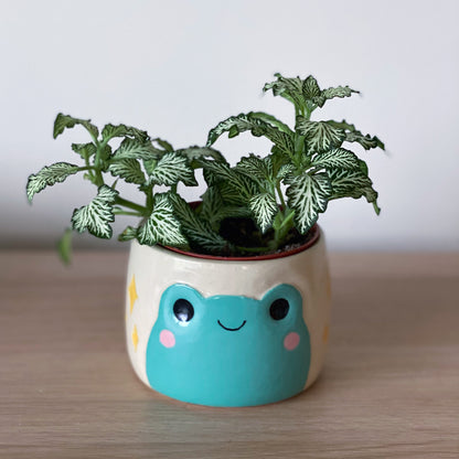Grenouille scintilante - Petit Pot de fleur