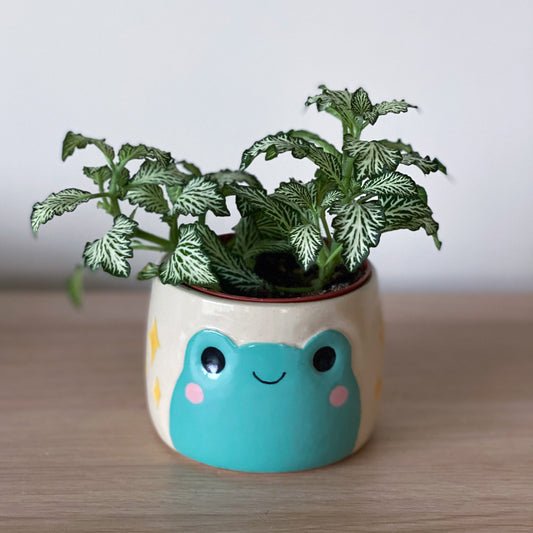 Grenouille scintilante - Petit Pot de fleur