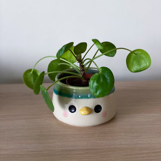 Canard coulis - Petit Pot de fleur