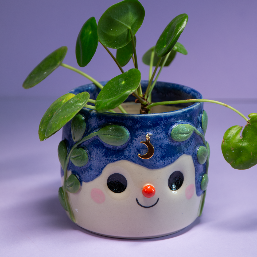 Feuillage nocturne - Pot de fleur