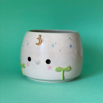 Jeune Pousse timide - pot de fleur