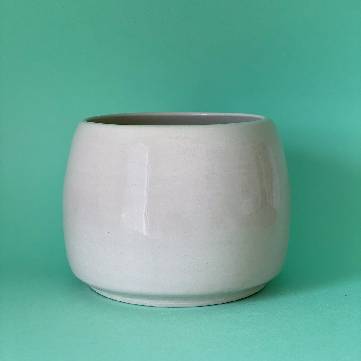 Jeune Pousse timide - pot de fleur