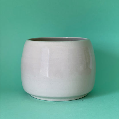 Jeune Pousse timide - pot de fleur