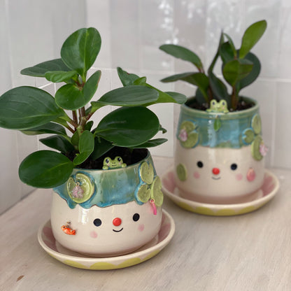 Nenuphar 01 - pot + soucoupe